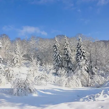 Le Reve De Charles 度假居 Faucompierre