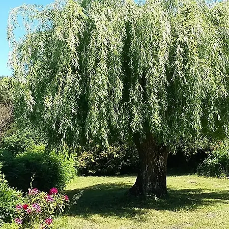 Le Reve De Charles 度假居