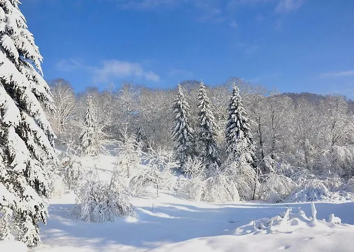 Le Reve De Charles Semesterbostad Faucompierre