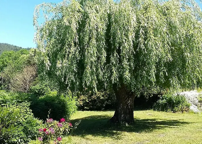 Le Reve De Charles Semesterbostad